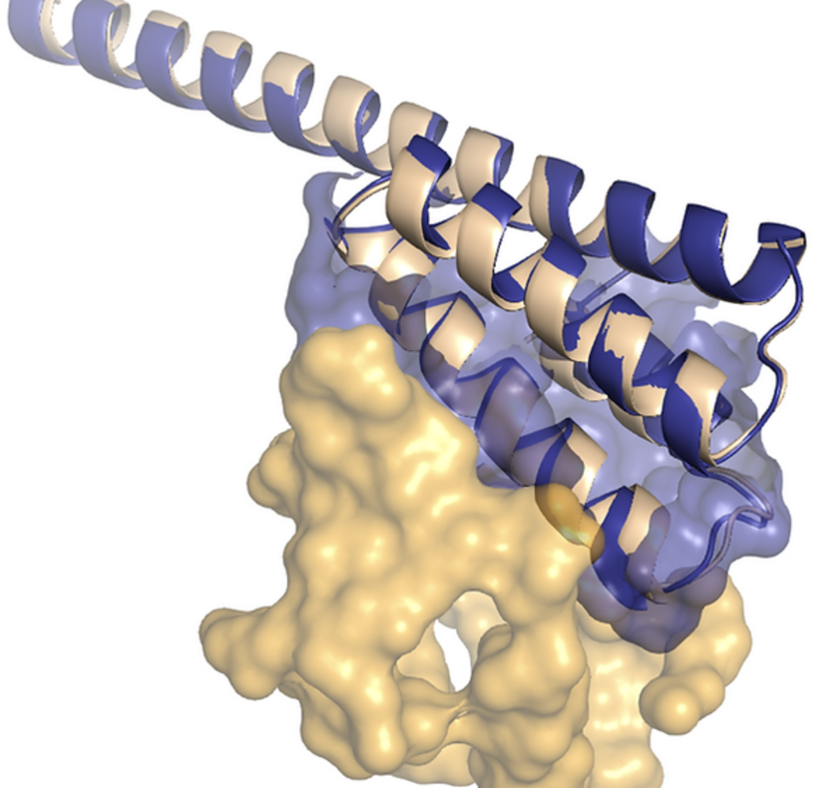 EphA2 receptor binders