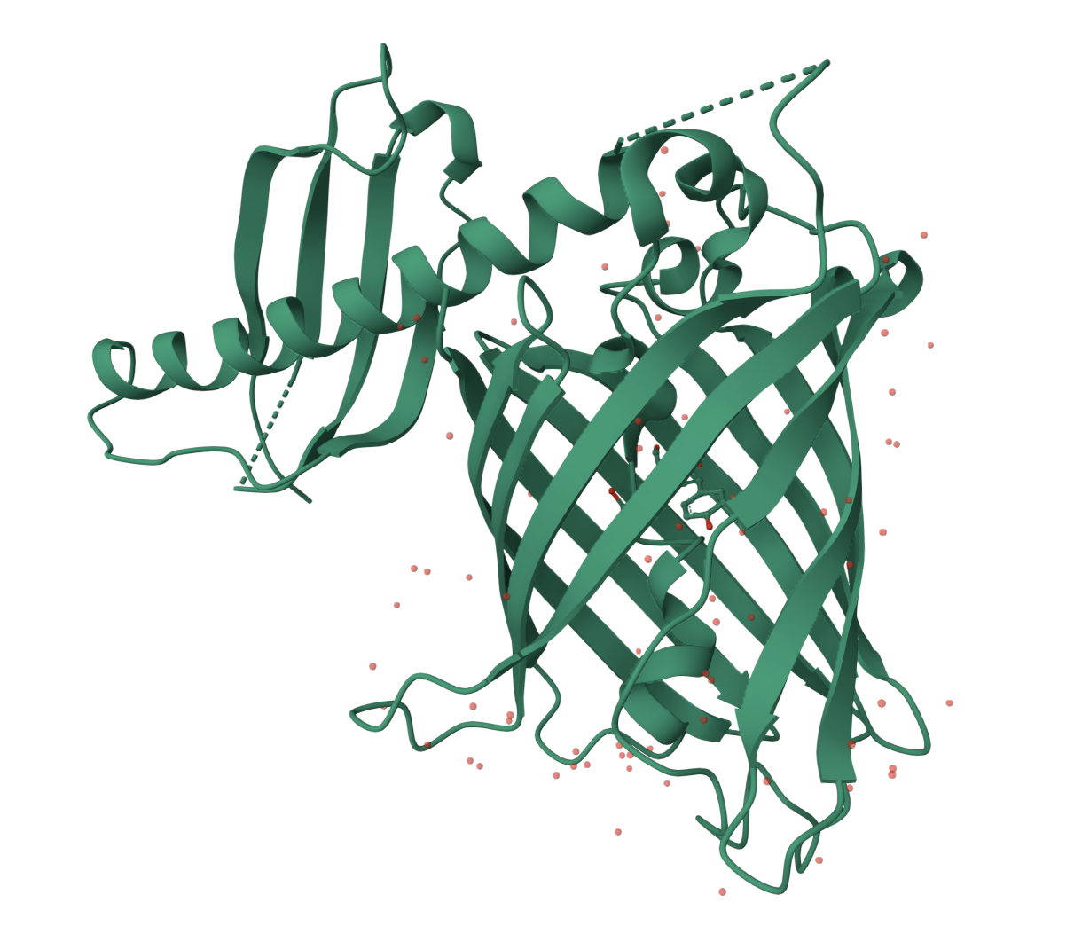 Imaging method probe